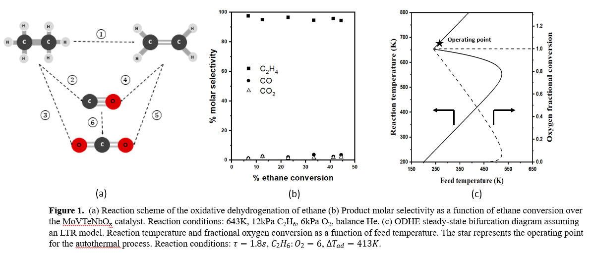 A Kinetic Model And Autothermal Reactor Design For The Oxidative