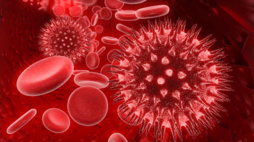 Nanoparticle Masquerading as Red Blood Cell Fights Bacterial Infection